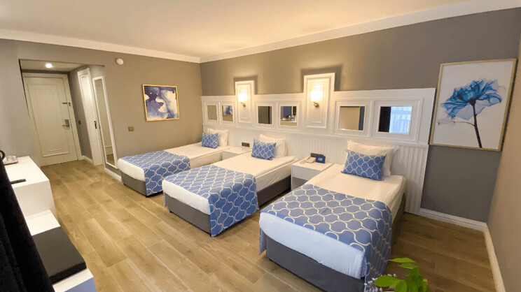 Gypsophila Club Marine